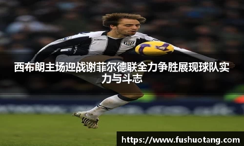 西布朗主场迎战谢菲尔德联全力争胜展现球队实力与斗志